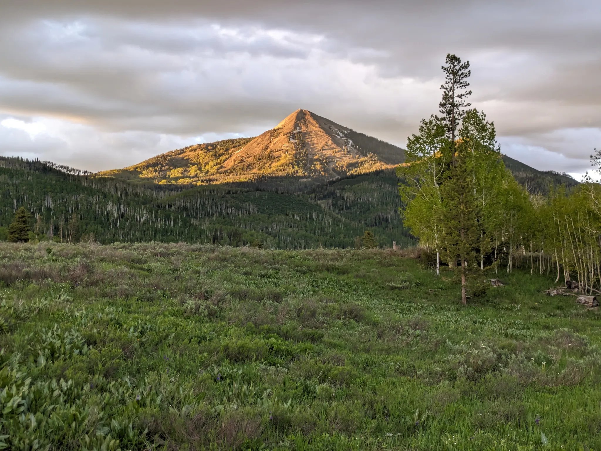 Steamboat Lake Campground