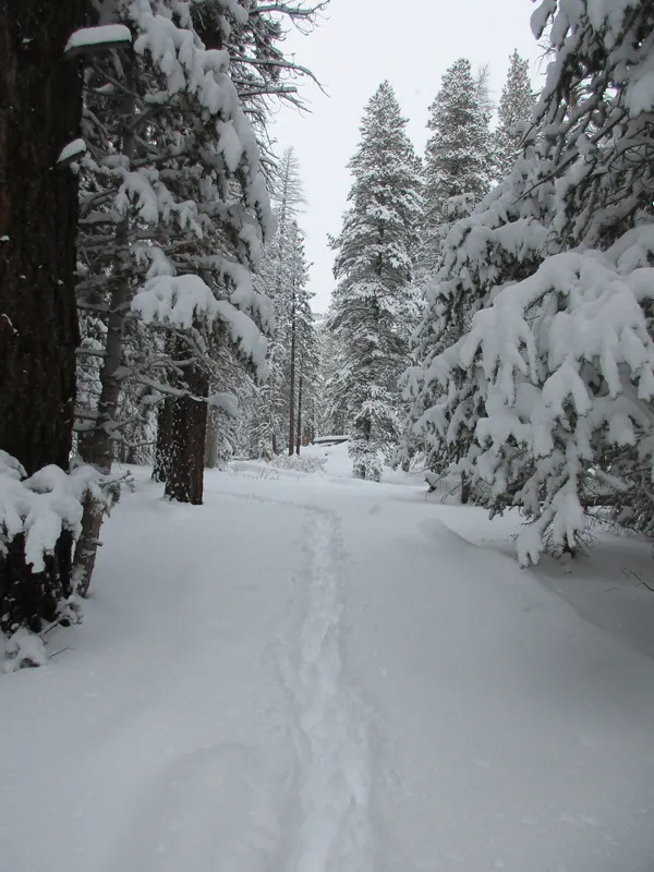 Strawberry Junction Campground