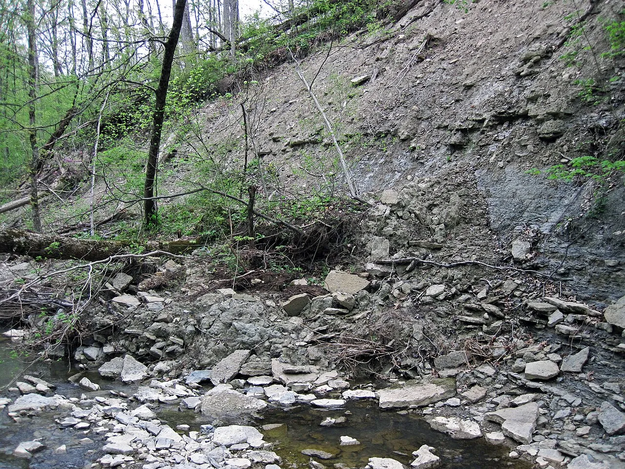 Caesar Creek Camp Loops A, B, C