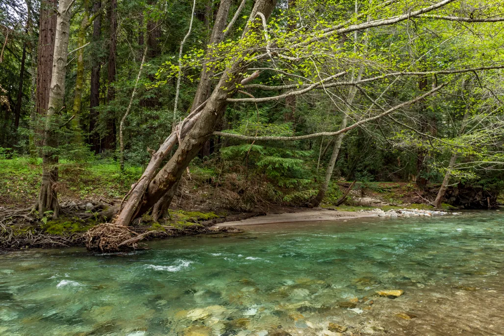 Pfeiffer Big Sur Campground