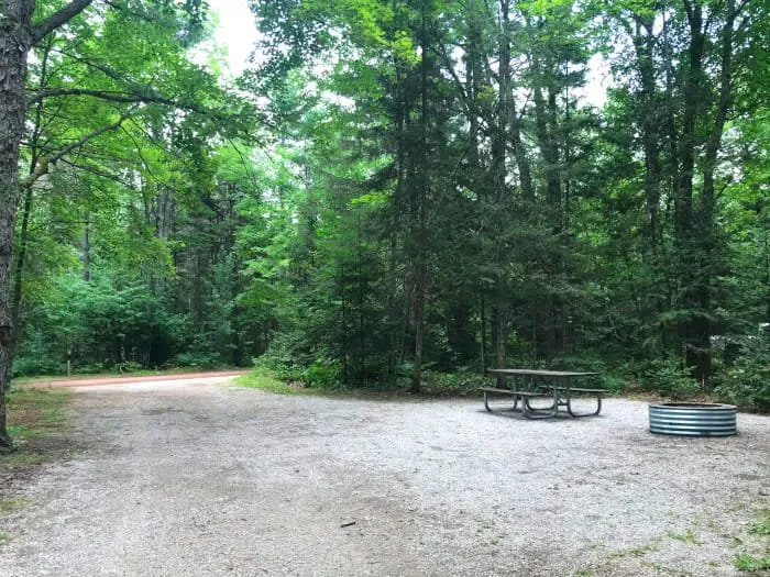 Little Lake State Forest Campground