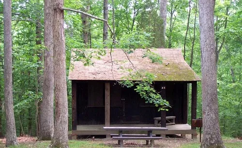 Cabin Camp 3