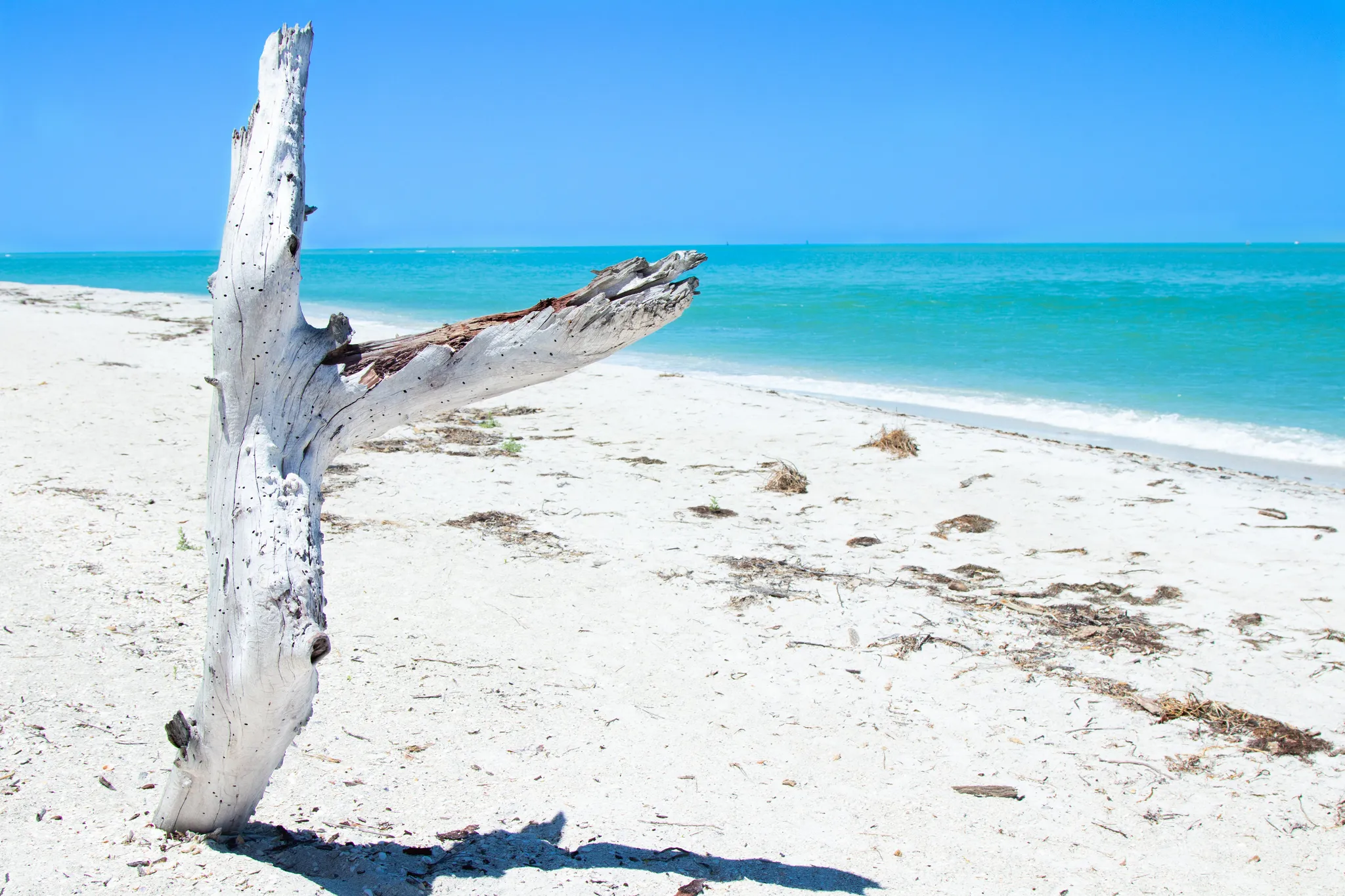 Cayo Costa State Park Campground