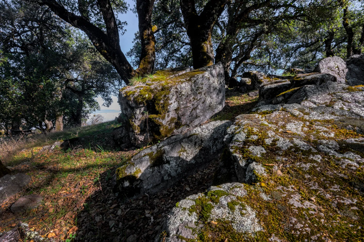 Oak Point Campground