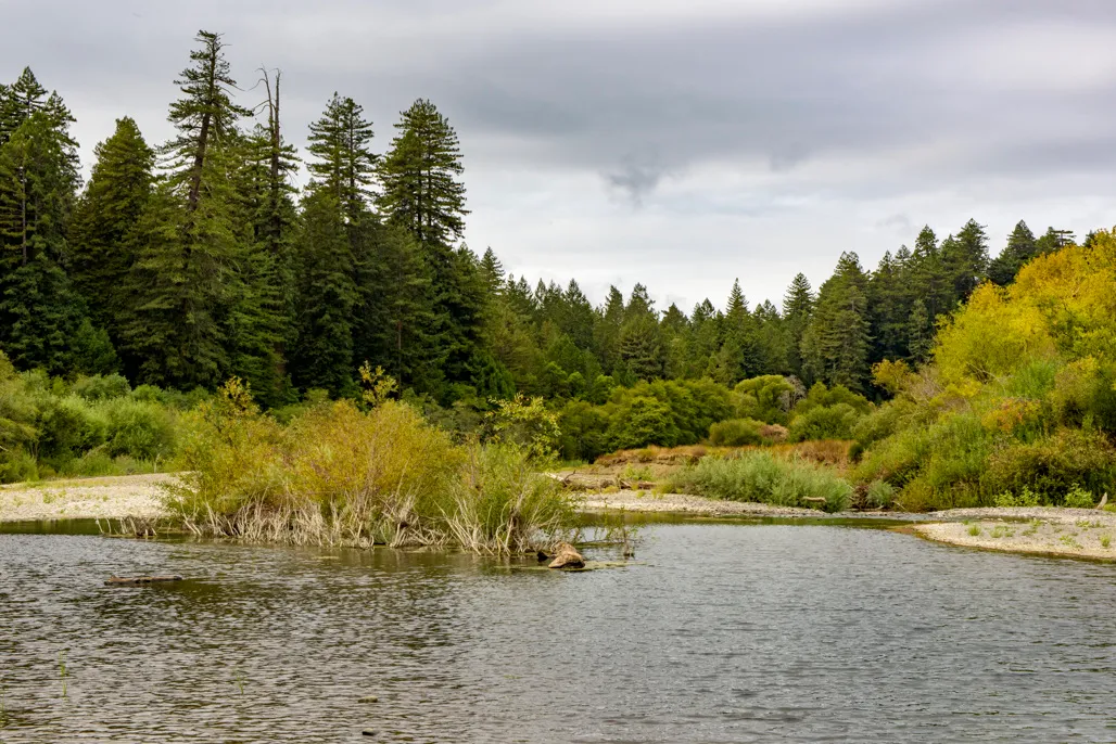 Azalea Campground