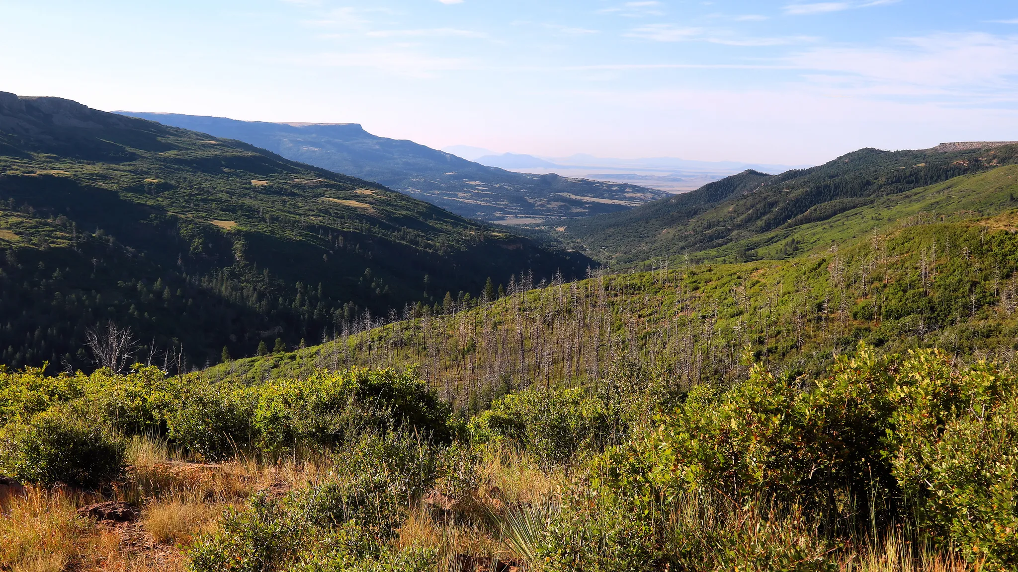 Sugarite Canyon