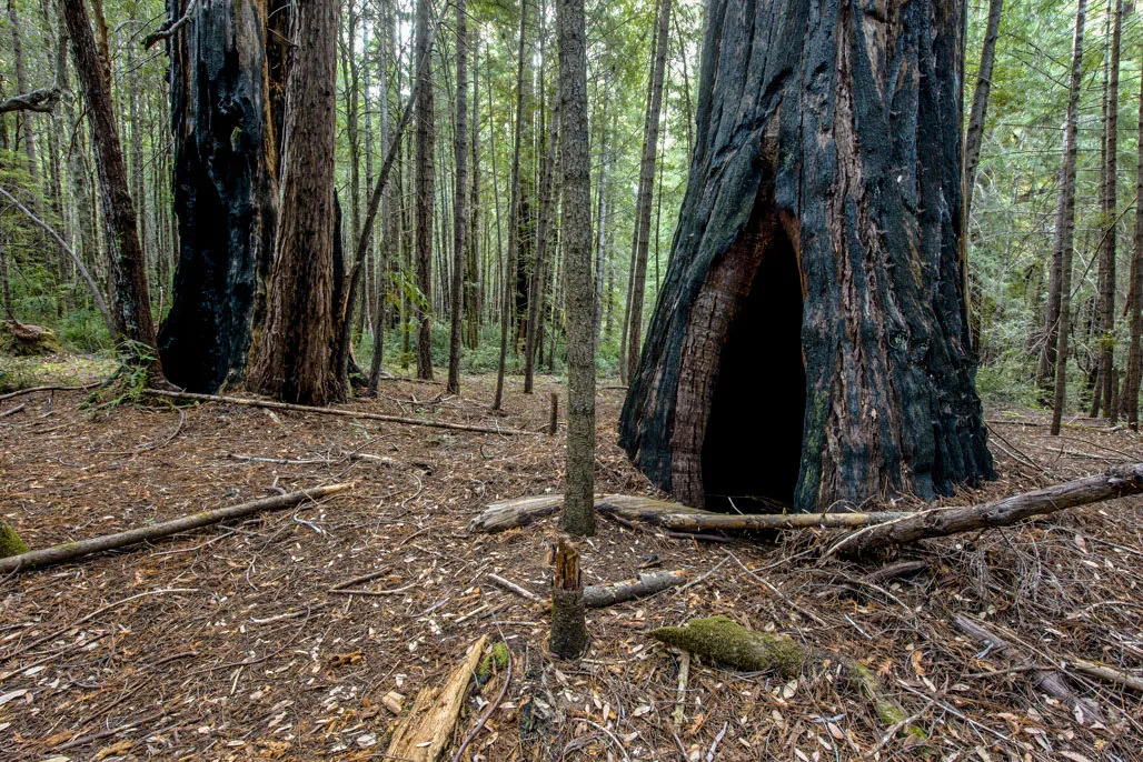 Standish-Hickey State Recreation Campground