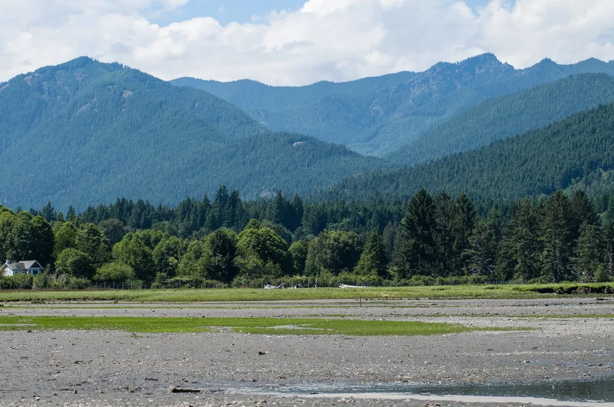 Dosewallips State Park