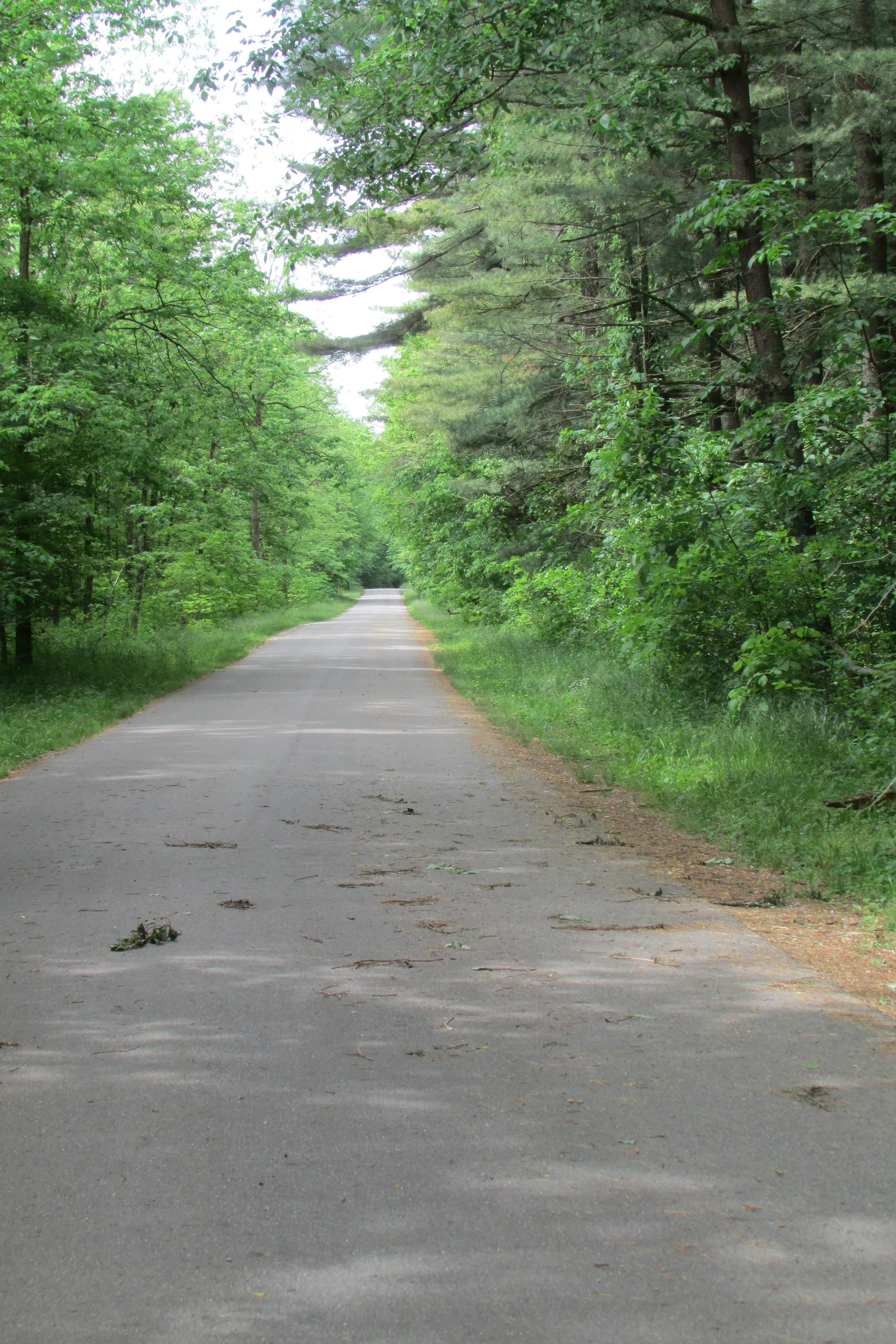 Tippecanoe River State Park