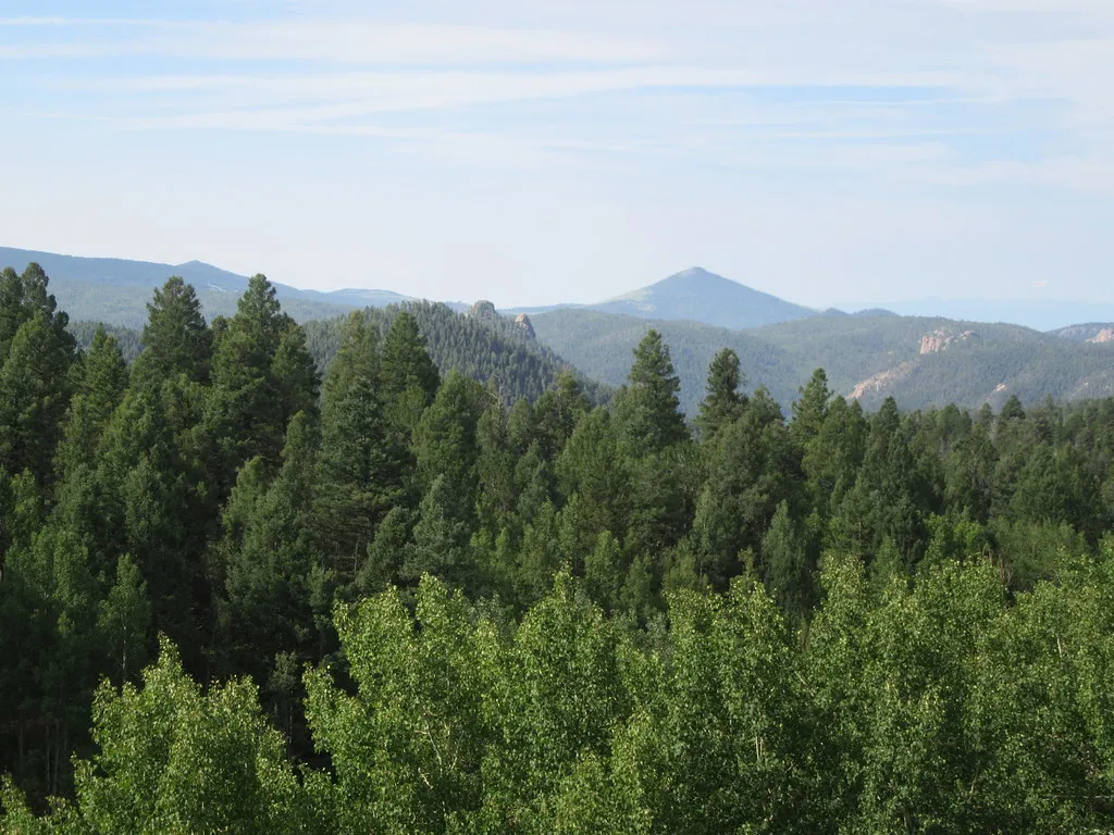 Mueller State Park