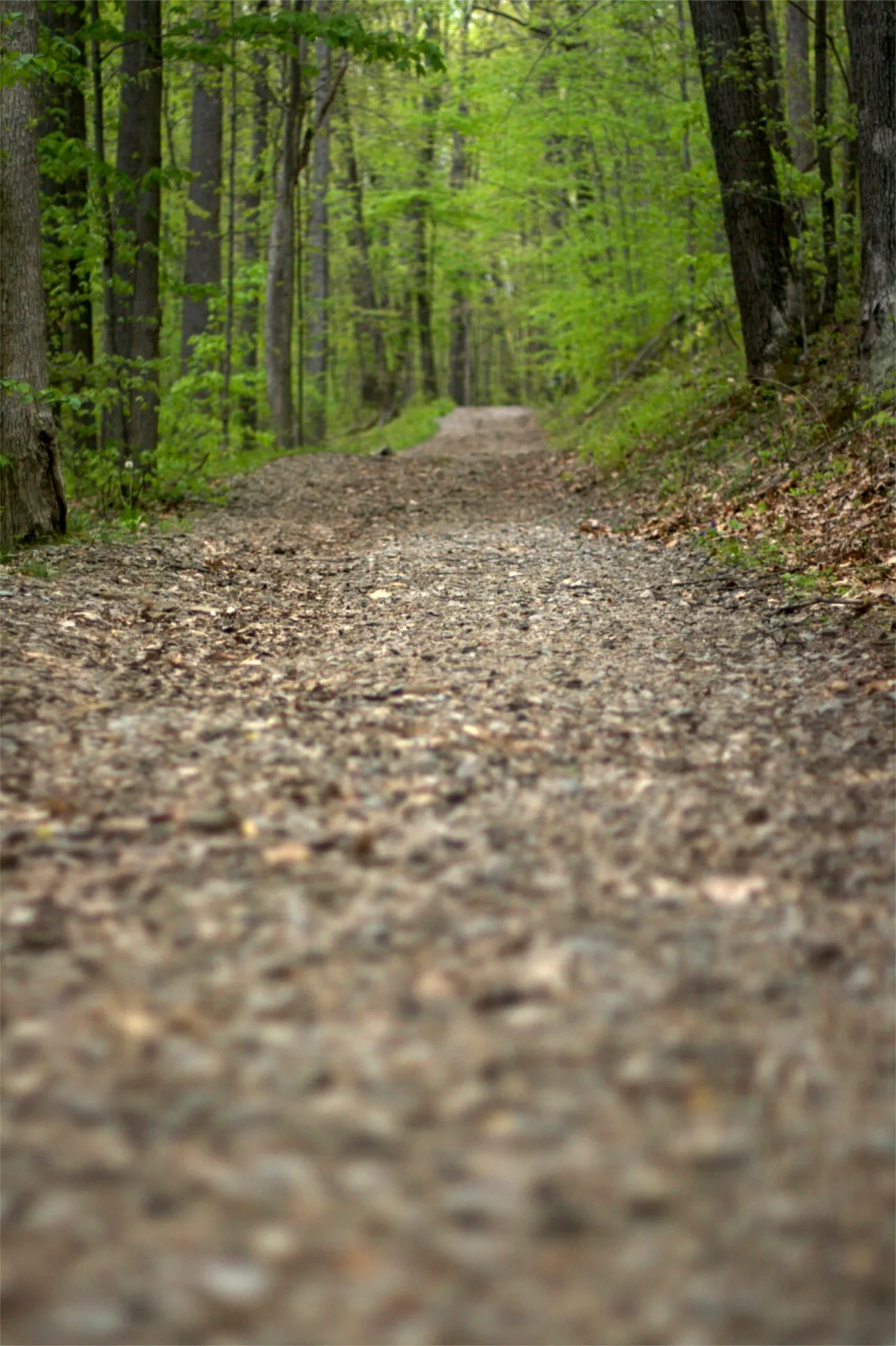 Ohiopyle State Park