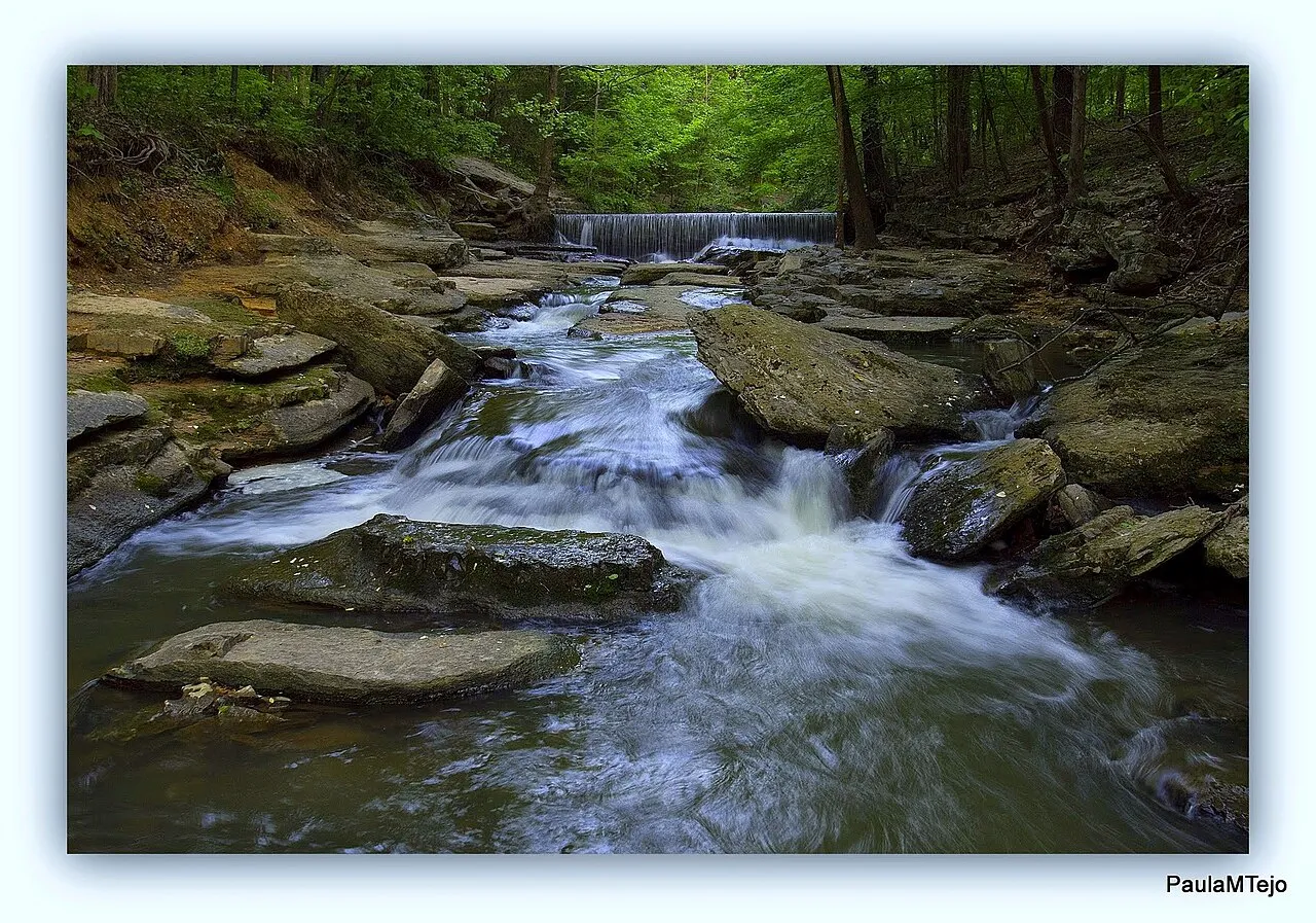 Montgomery Bell State Park