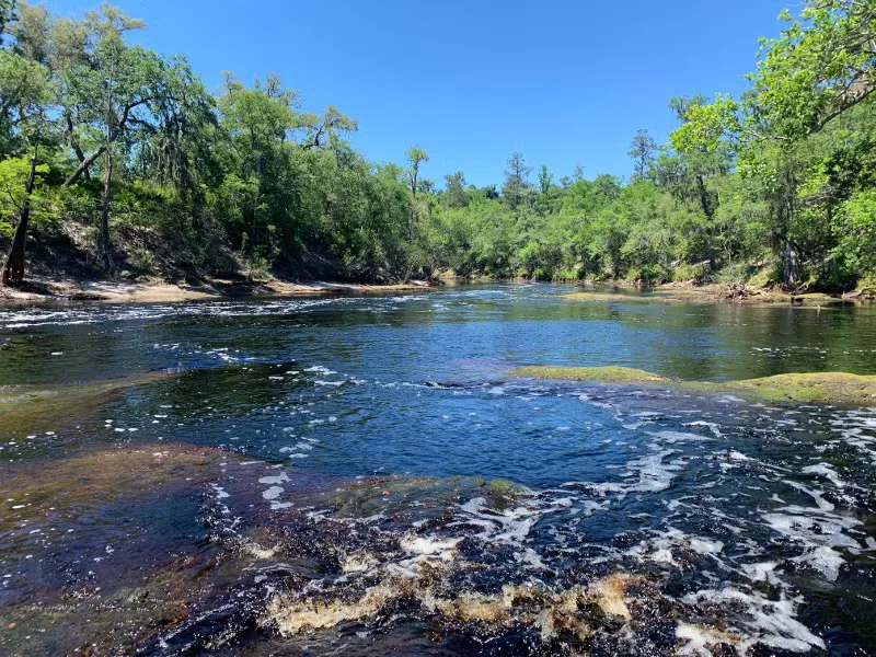 Suwannee River State Park Loop Cabi
