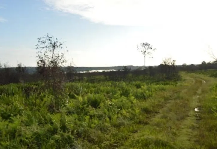 Lake Manatee State Park Loop 2