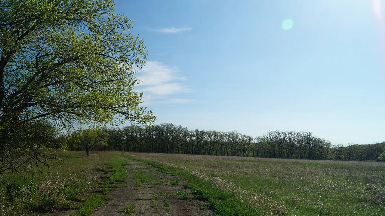 Turtle River Campground