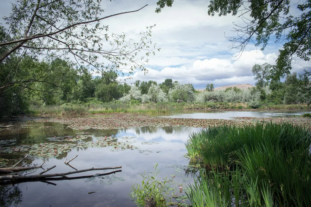 Yakima Sportsman State Park