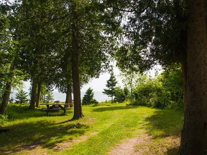 Hog Island Point State Forest Campground