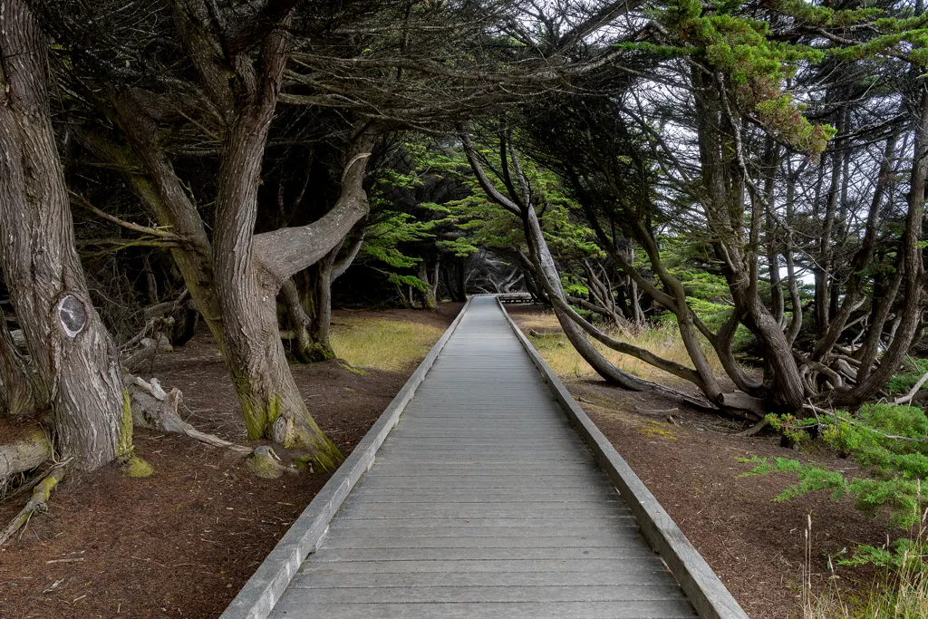 Mackerricher State Park Campground
