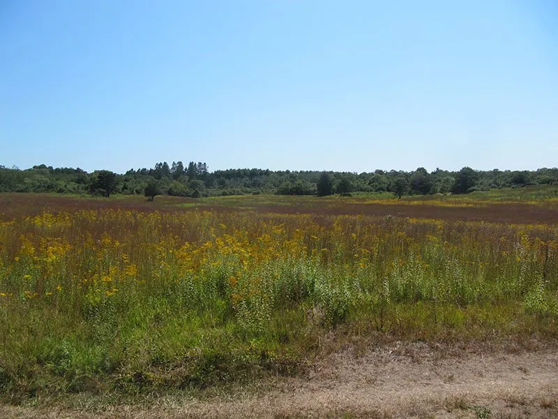 Waquoit Bay Nat. Estuarine Res