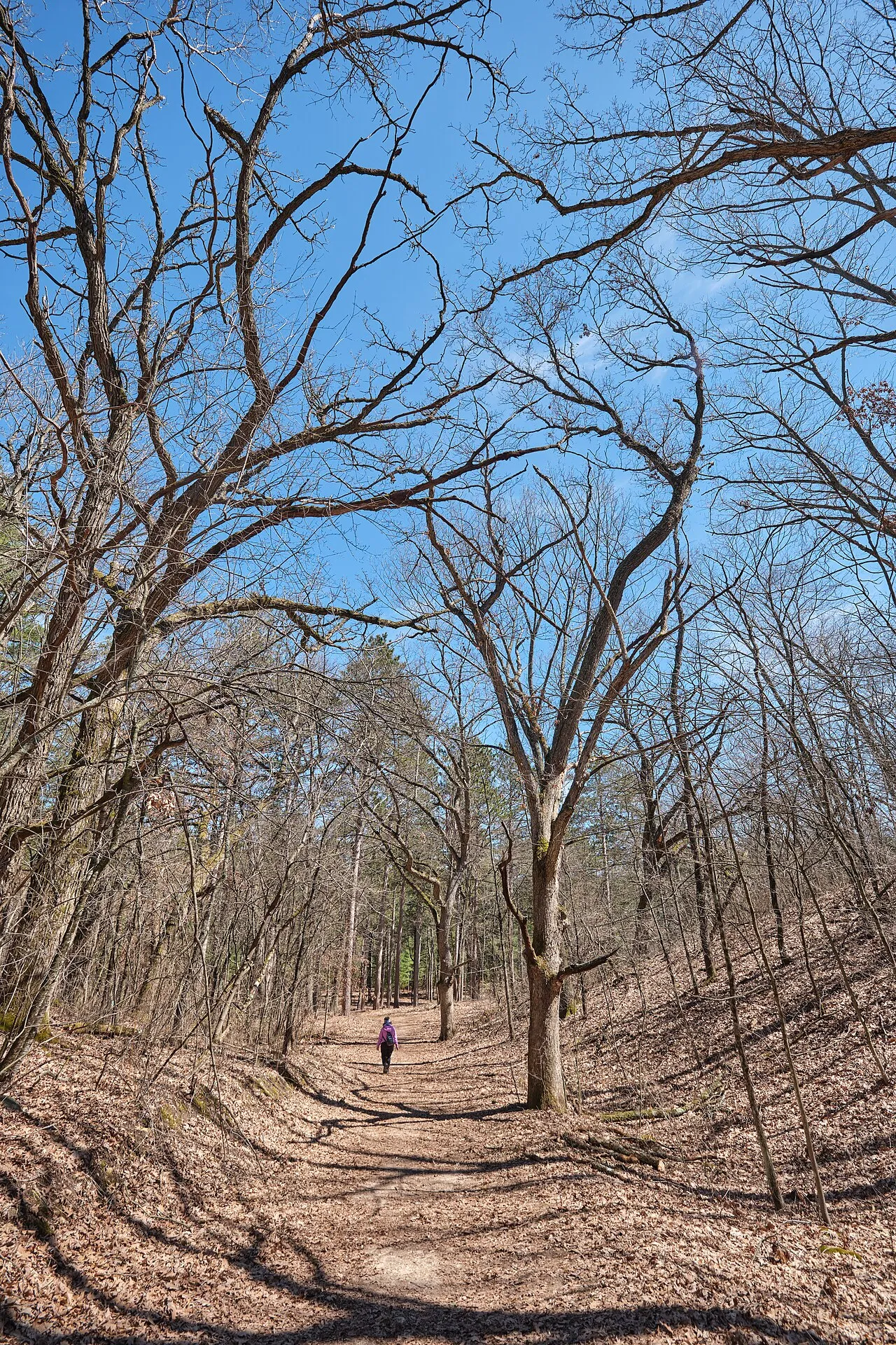 Kettle Moraine State Forest - Southern Unit