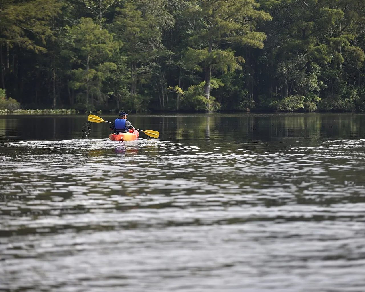 Pocomoke River State Park