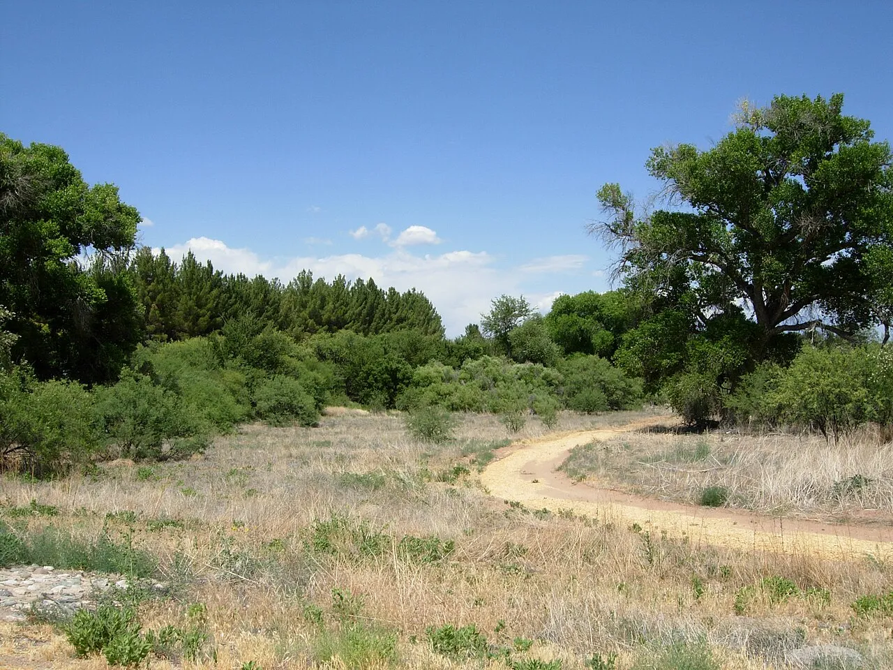 Group Campgrounds