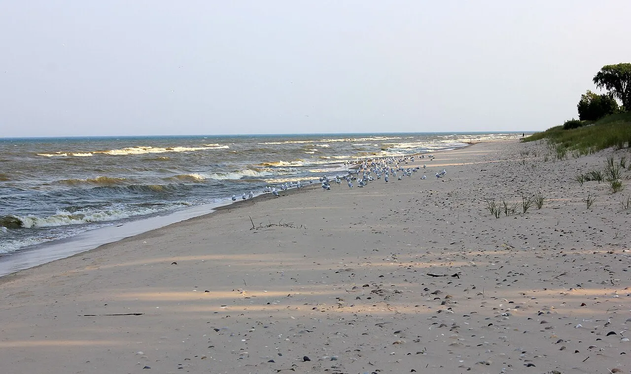 Point Beach State Forest