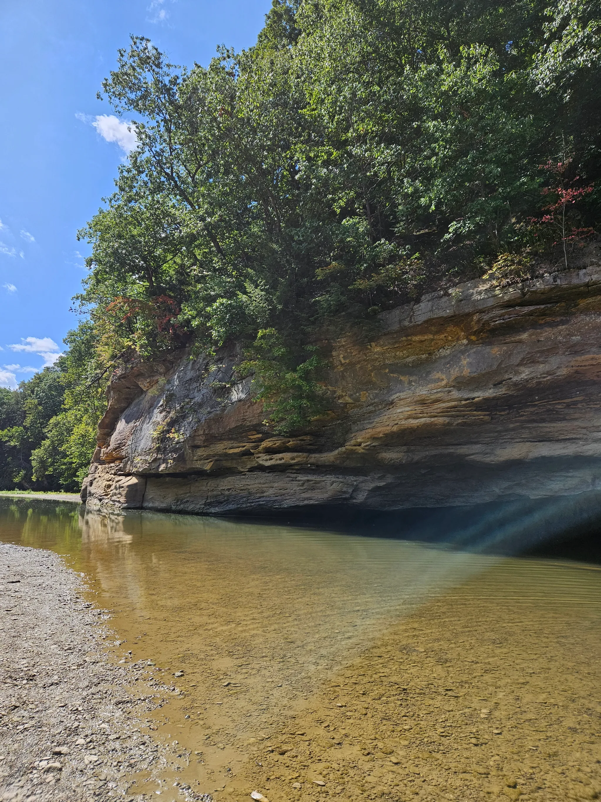 Turkey Run State Park