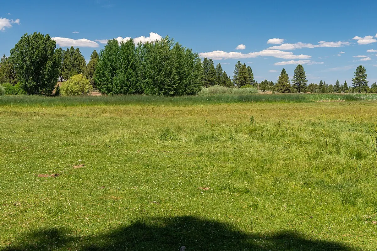 Elkhorn Campground