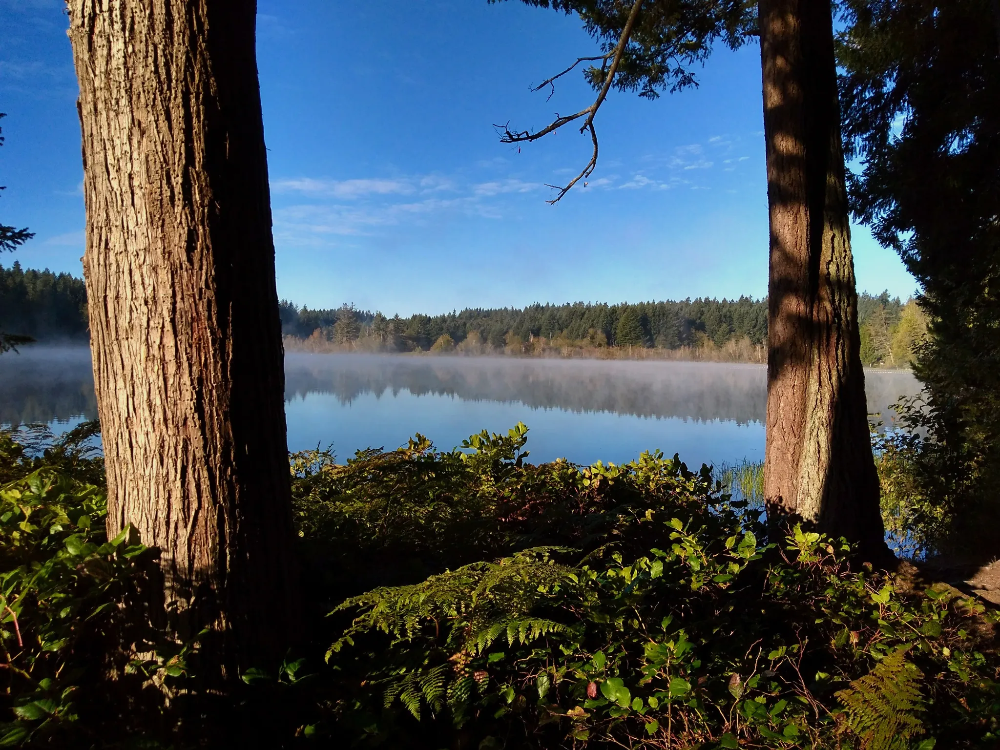 Millersylvania State Park