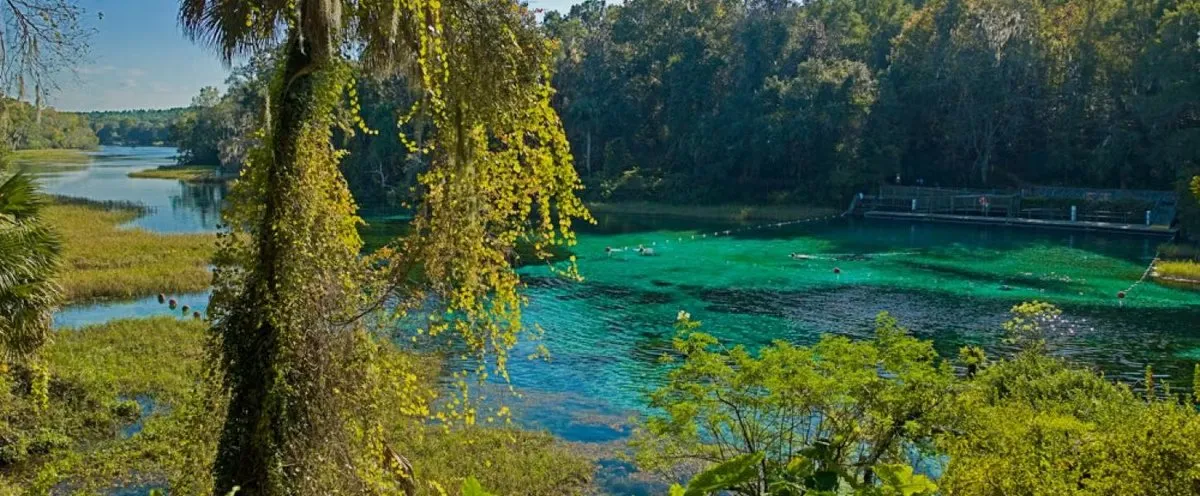 Rainbow Springs State Park Loop B