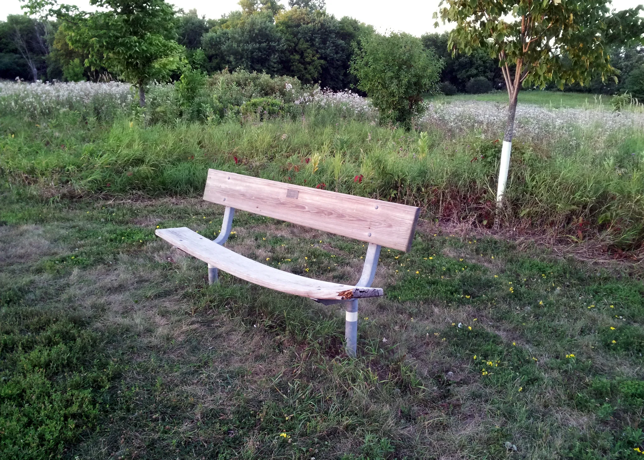 Lake Elmo Park Reserve