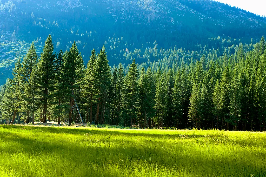 Grover Hot Springs State Park Campground