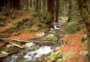 Limekiln State Park Campground