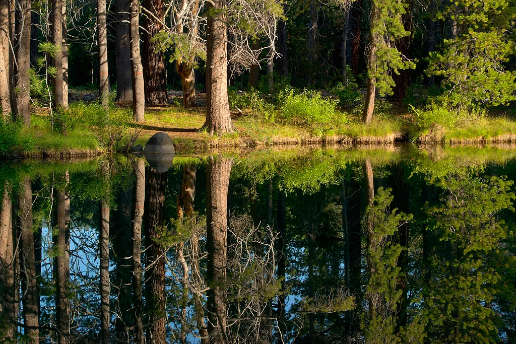 Donner Memorial State Park Campground
