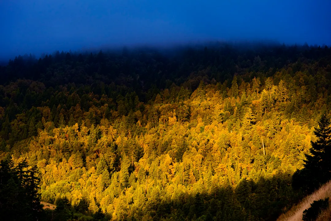 Benbow State Recreation Campground