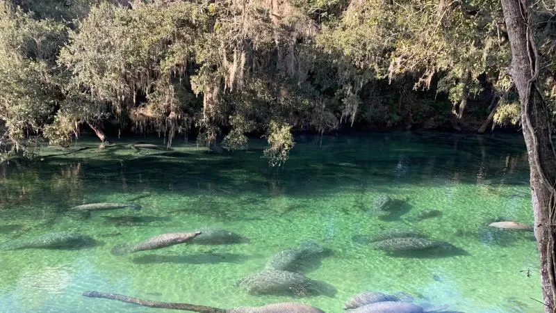 Blue Spring State Park Campground