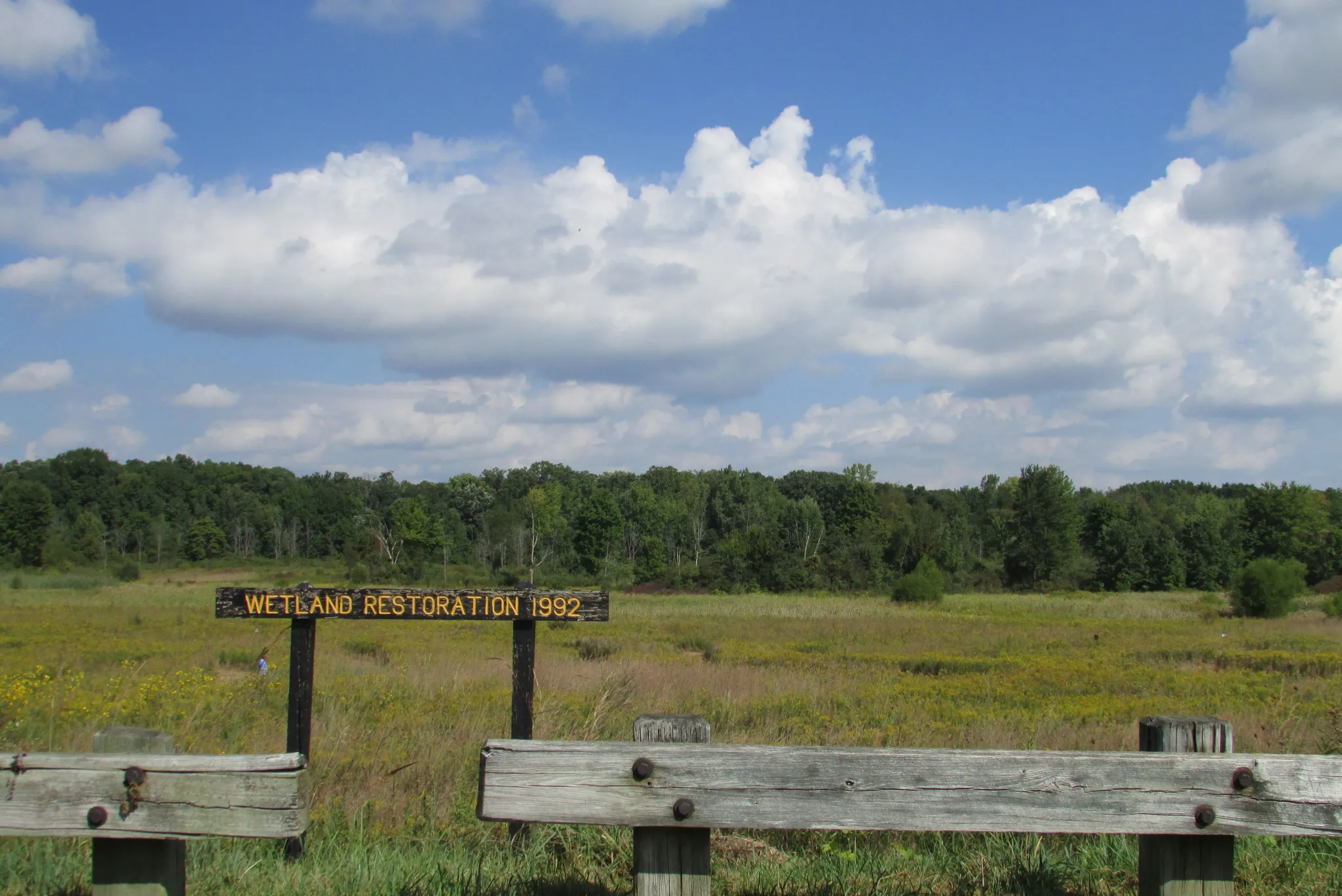 Potato Creek State Park
