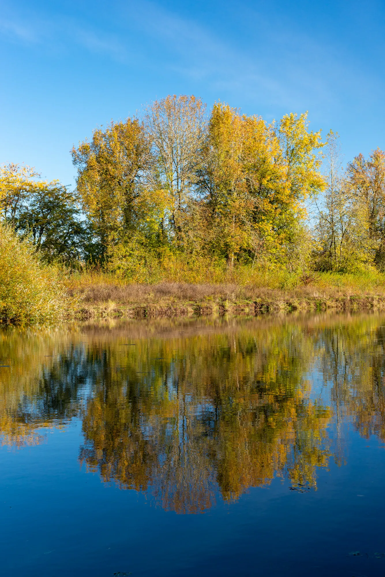 Willamette Mission State Park
