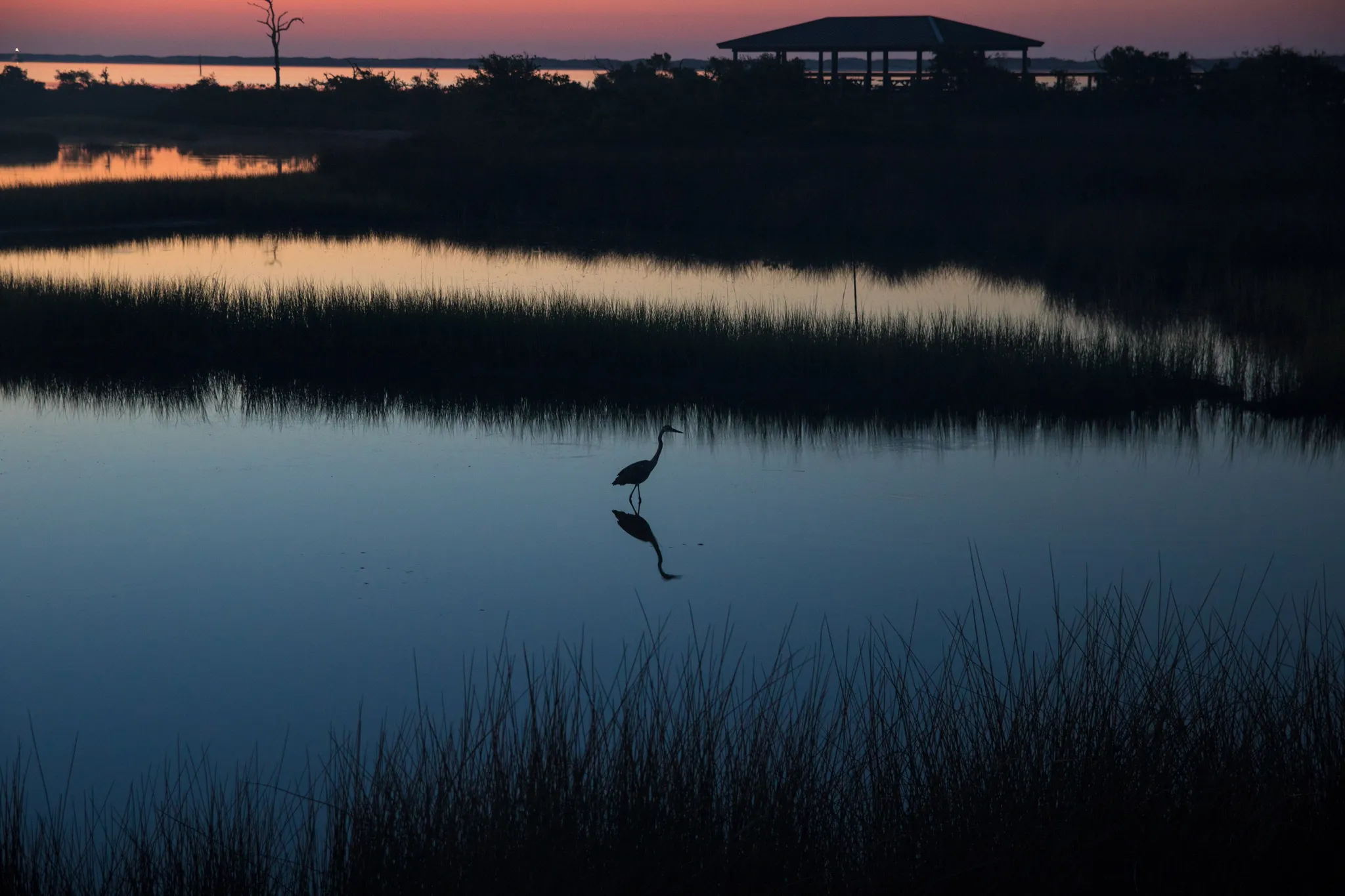 Big Lagoon State Park Campground 3