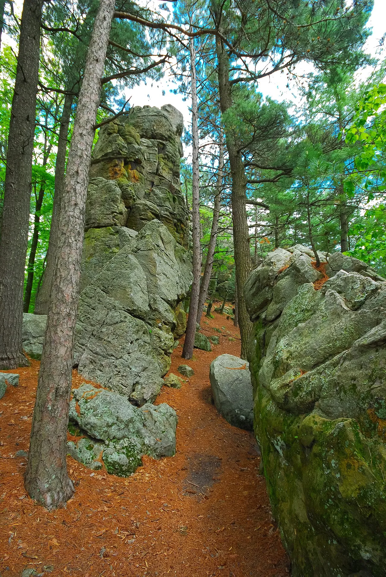 Black River State Forest
