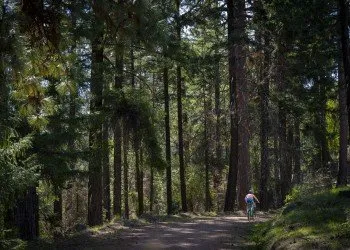 Little Falls Campground