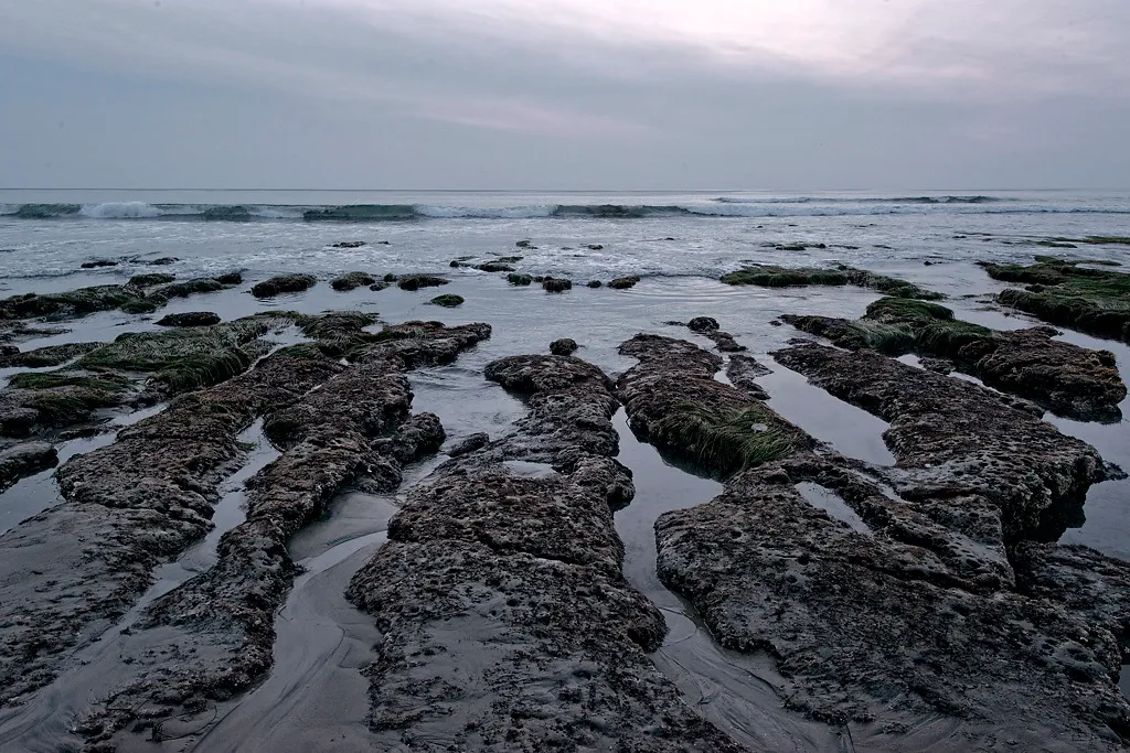 San Elijo State Beach Campground