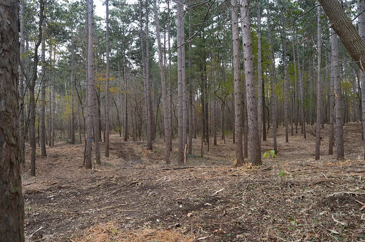 Kettle Moraine State Forest - Southern Unit