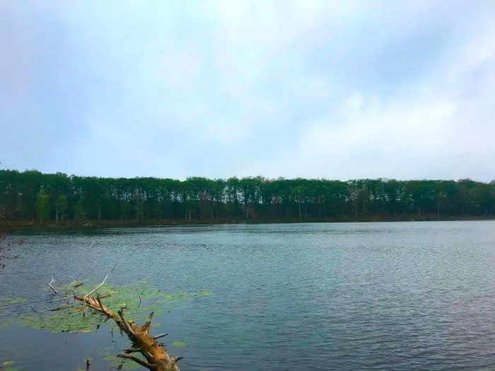 Ambrose Lake State Forest Campground