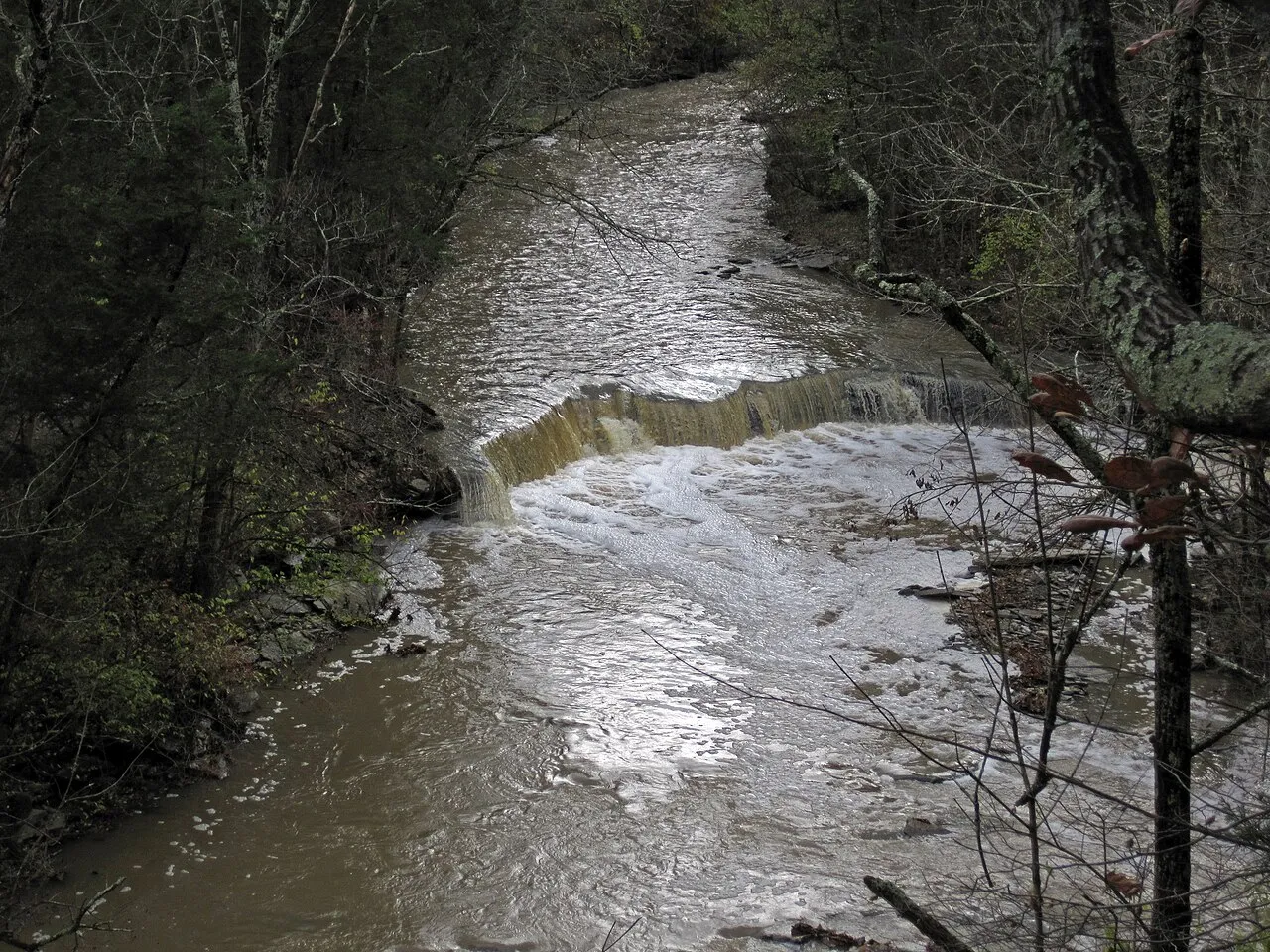 Caesar Creek Camp Loops A, B, C