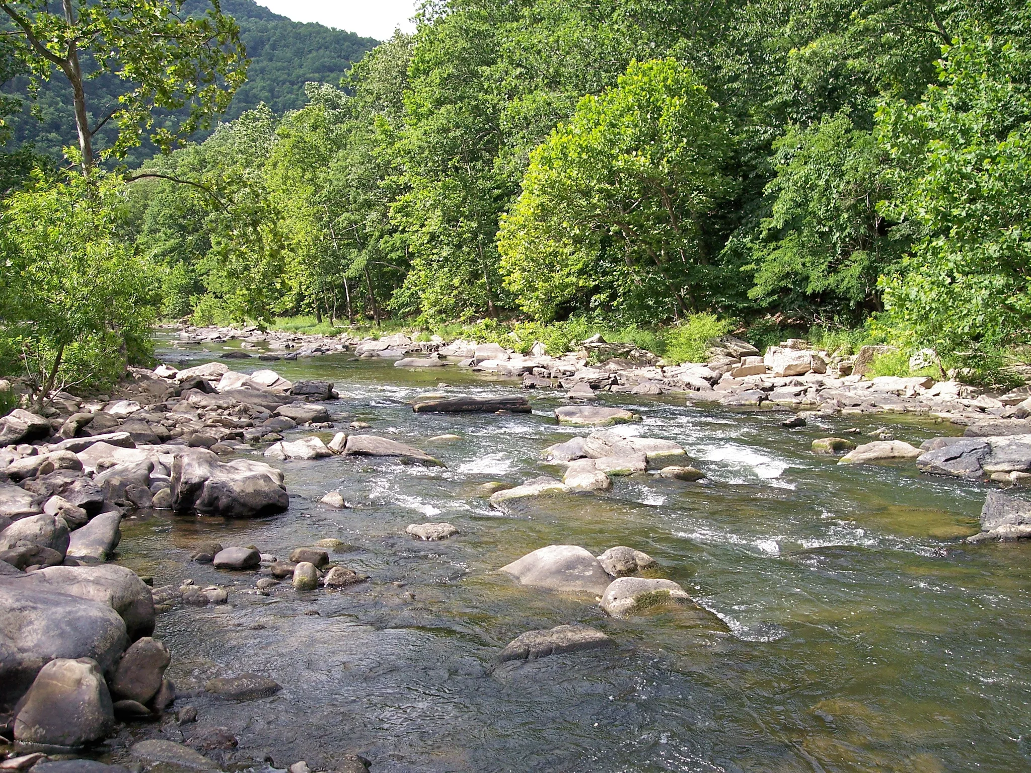 Bluestone Campground