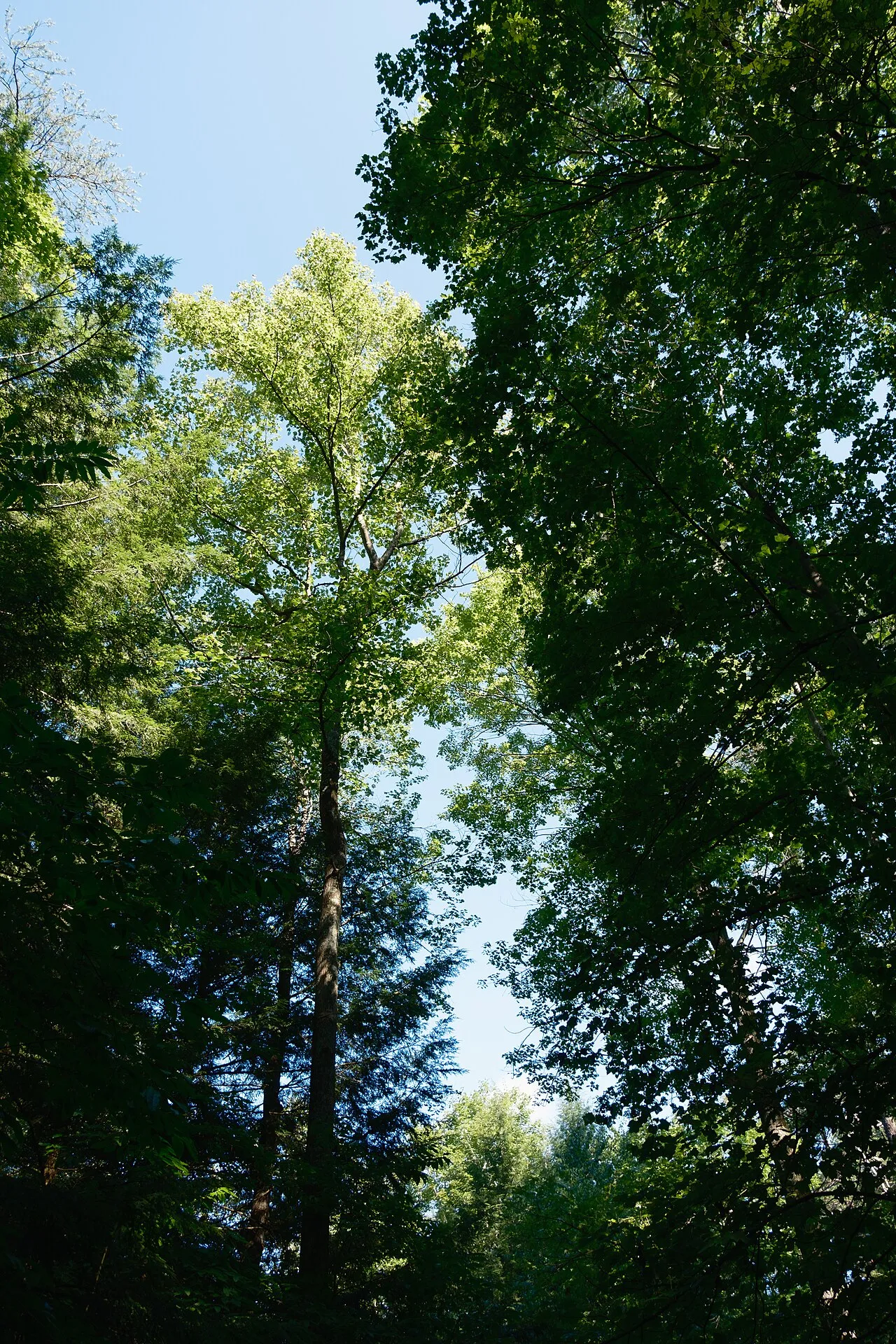 Hocking Hills Youth Group Campground
