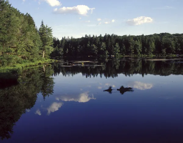 Promised Land State Park