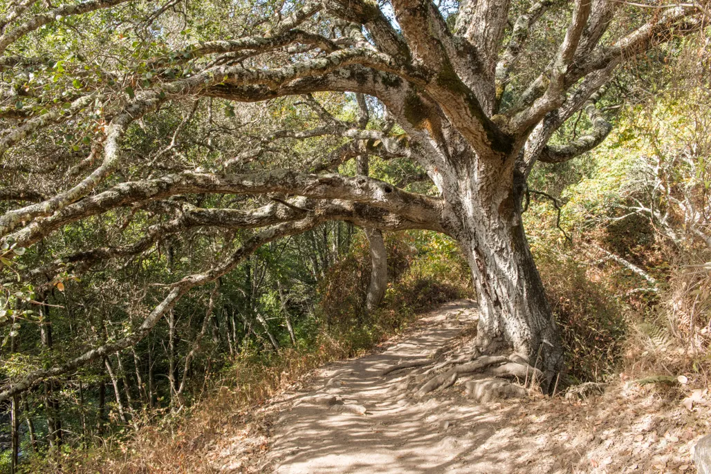 Trail Campground